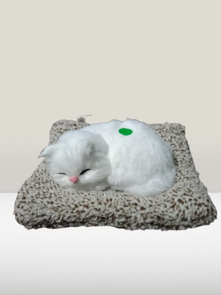 Realistic Sleeping Cat Showpiece on Cushion – Decorative Home & Office Tabletop Item