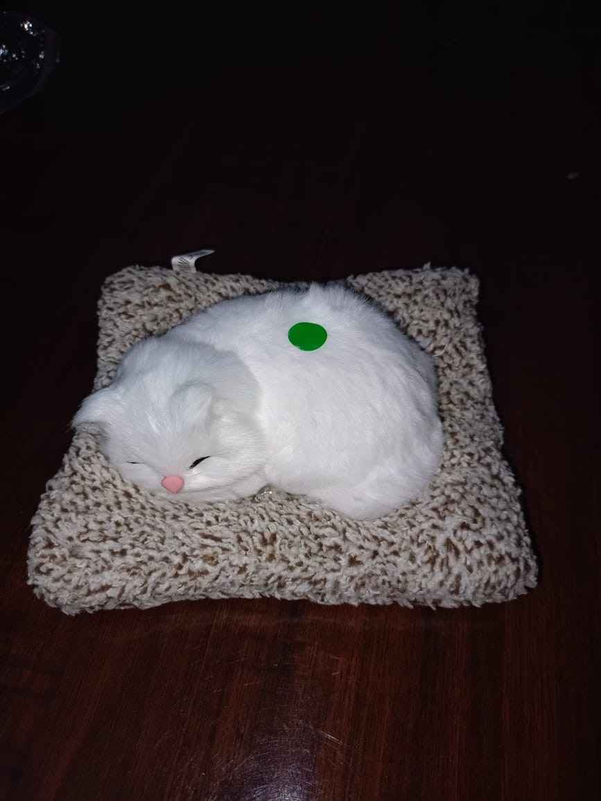 Realistic Sleeping Cat Showpiece on Cushion – Decorative Home & Office Tabletop Item thumbnail