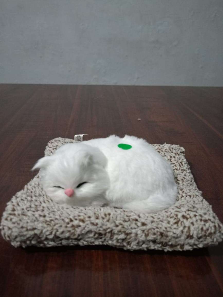 Realistic Sleeping Cat Showpiece on Cushion – Decorative Home & Office Tabletop Item thumbnail