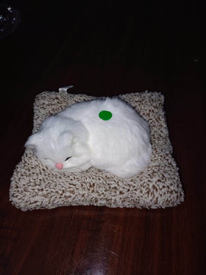Realistic Sleeping Cat Showpiece on Cushion – Decorative Home & Office Tabletop Item thumbnail